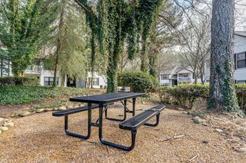 Community dog park area